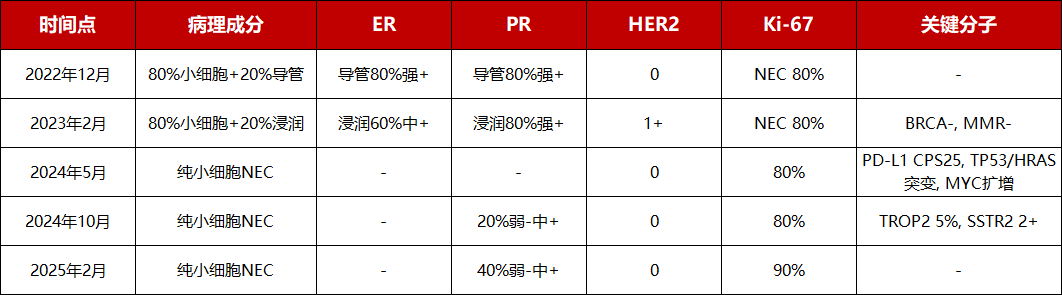 Table of pathological and molecular test results at different timepoints, showing dynamic changes in tumour composition and receptor expression
